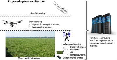 Monitoring the Spread of Water Hyacinth (Pontederia crassipes): Challenges and Future Developments